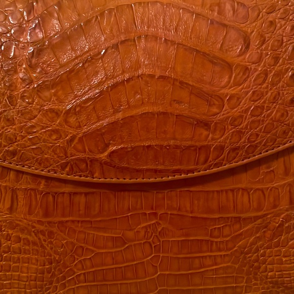 Beautiful Crocodile Crossbody! - Picture 2 of 15